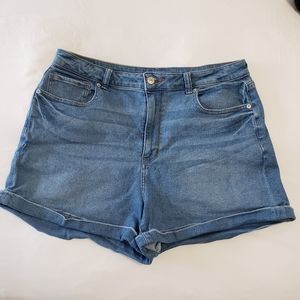 "Vintage Style" High Waisted Shorts - AE